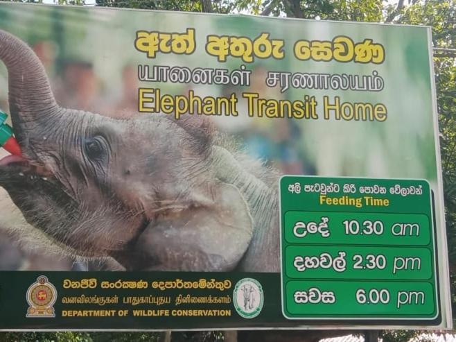 Udawalawe Wildlife & Nature Protection Bungalow Esterno foto