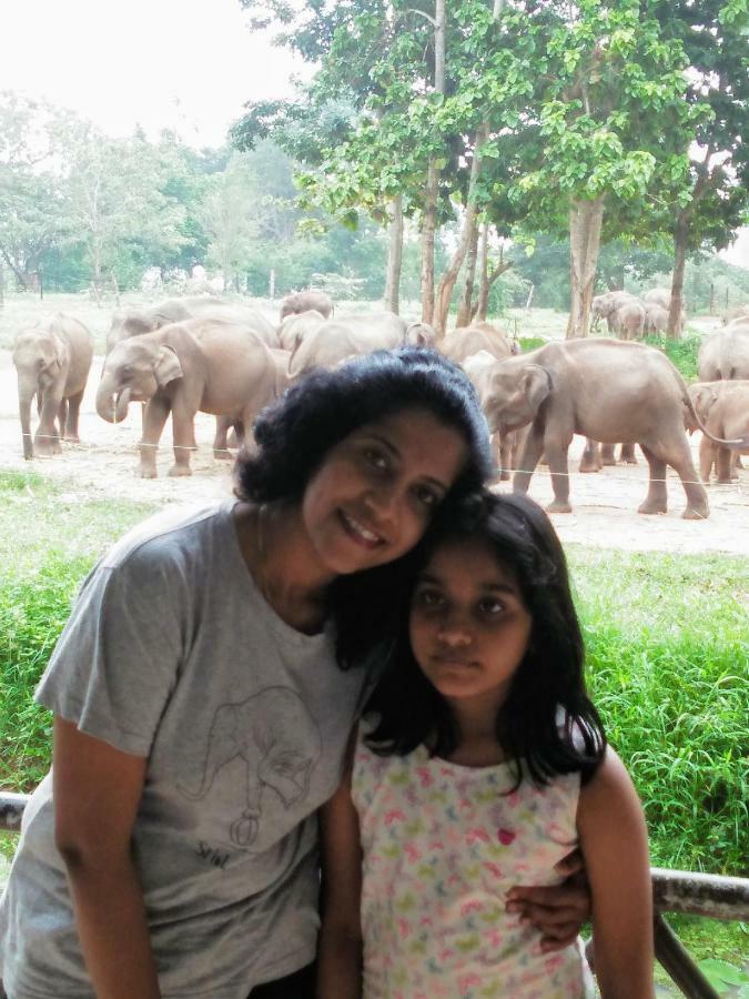 Udawalawe Wildlife & Nature Protection Bungalow Esterno foto